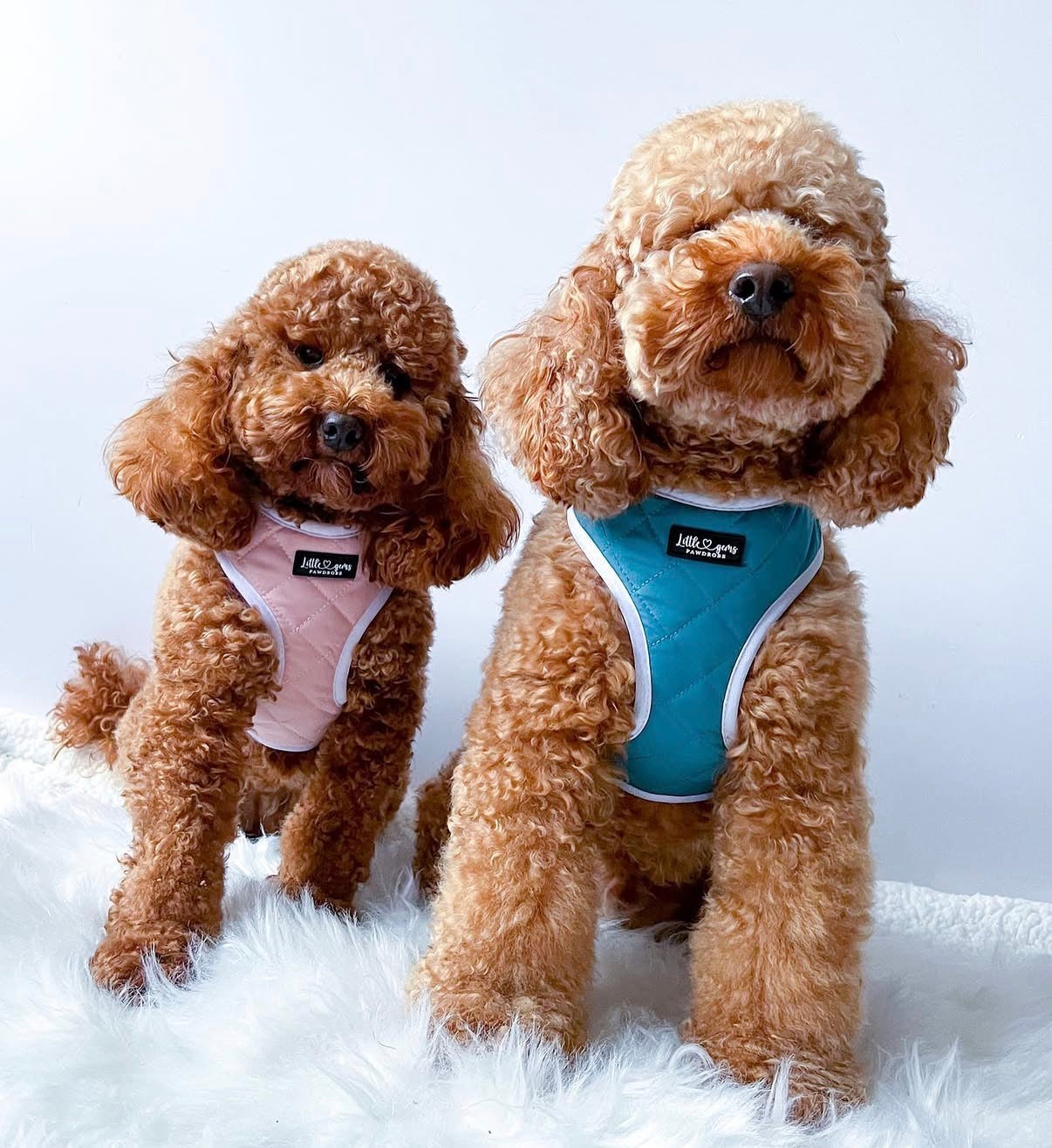 Harnesses
