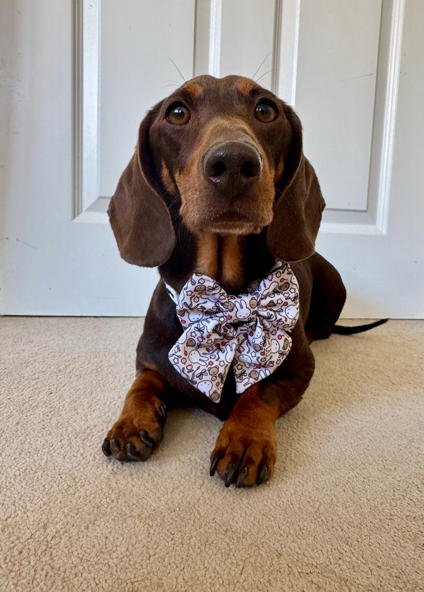 Buns & Bows Sailor Bow