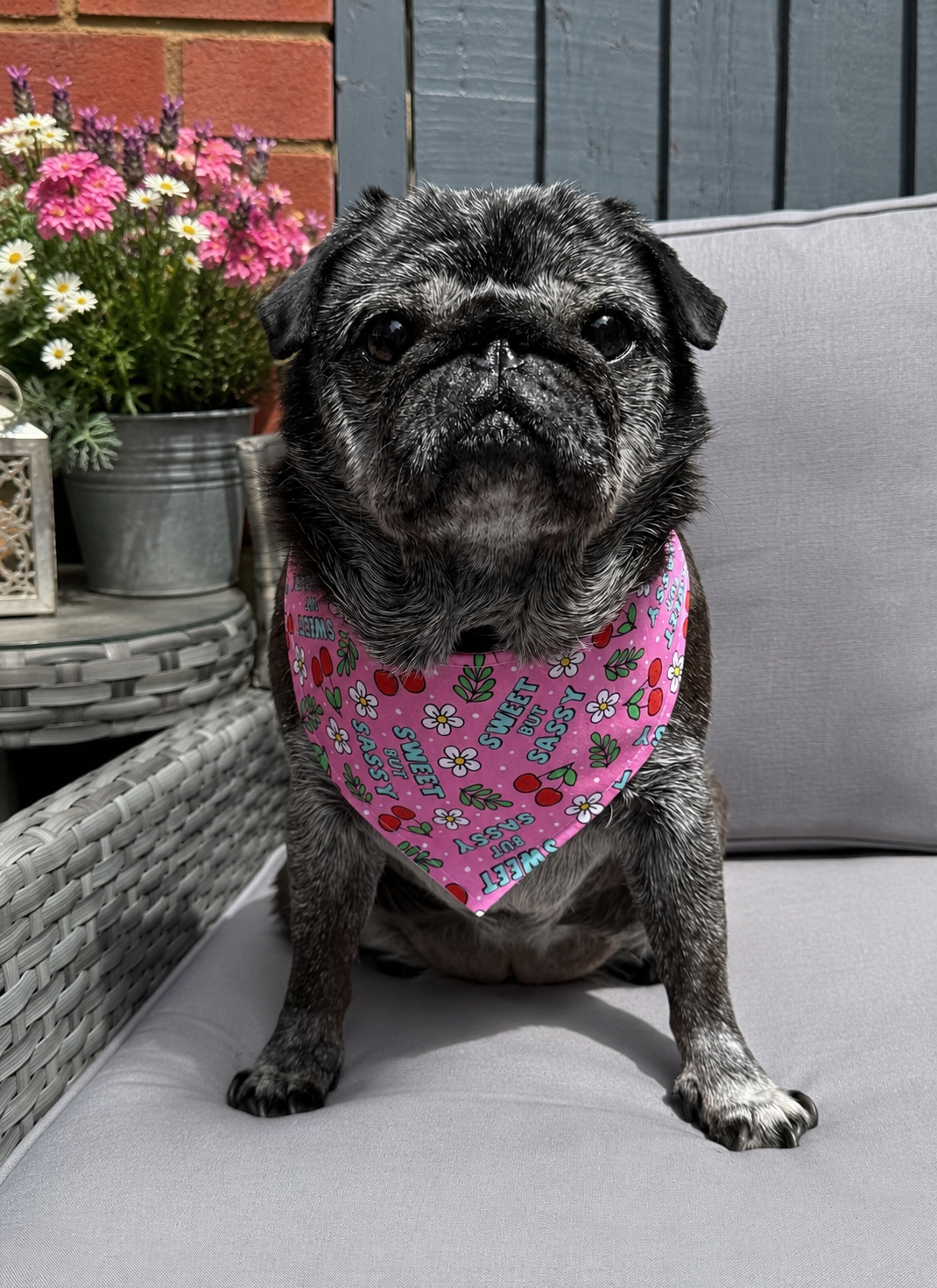 Sweet But Sassy Bandana