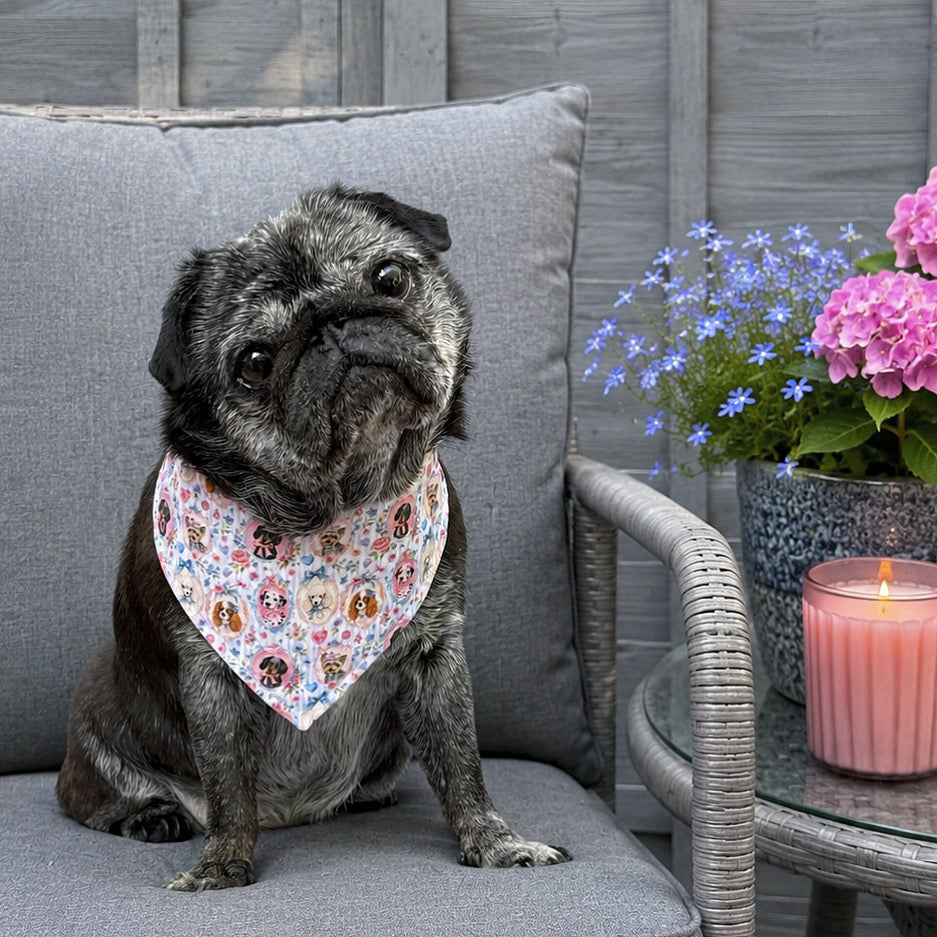 Paws & Petals Bandana