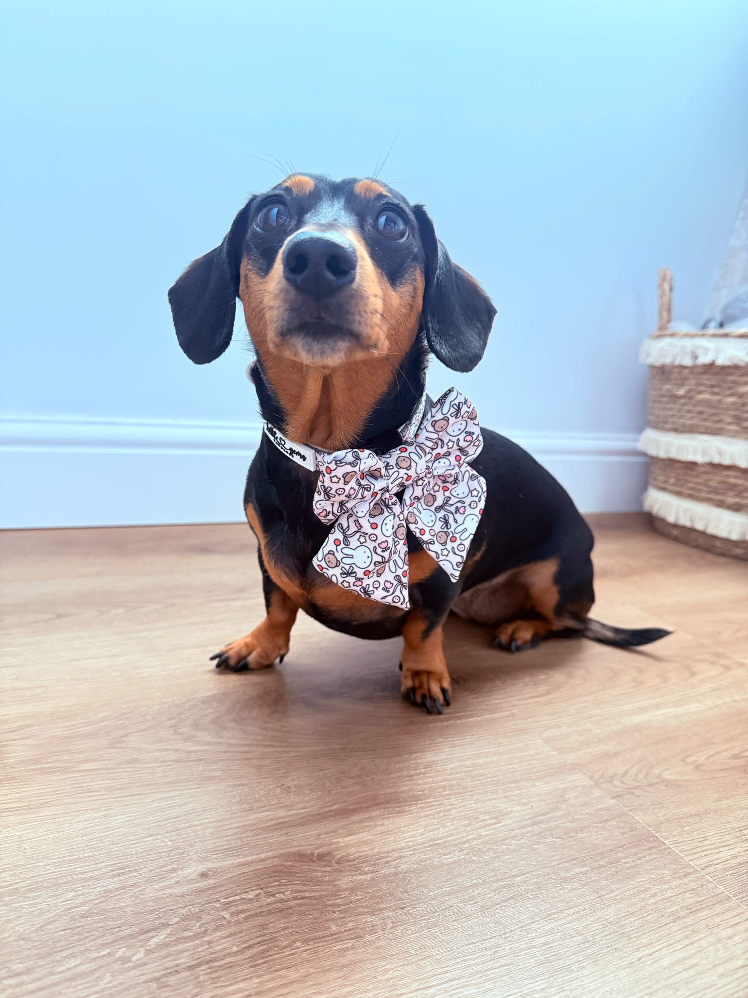 Buns & Bows Sailor Bow