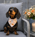 Boho Meadow Bandana