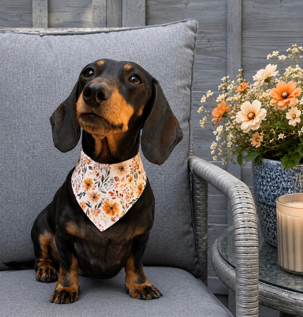 Boho Meadow Bandana