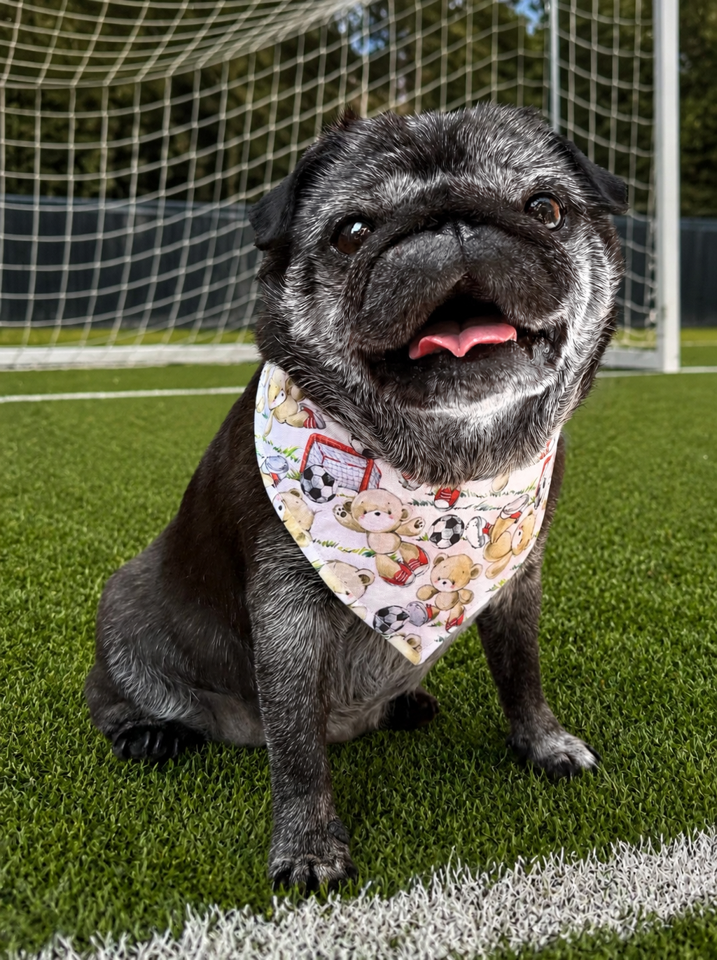 World Cup Pup Bandana