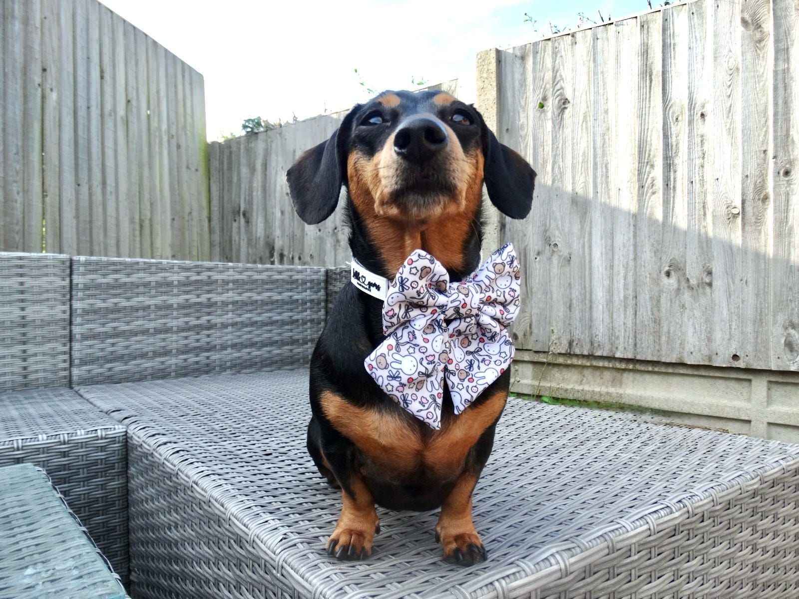 Buns & Bows Sailor Bow
