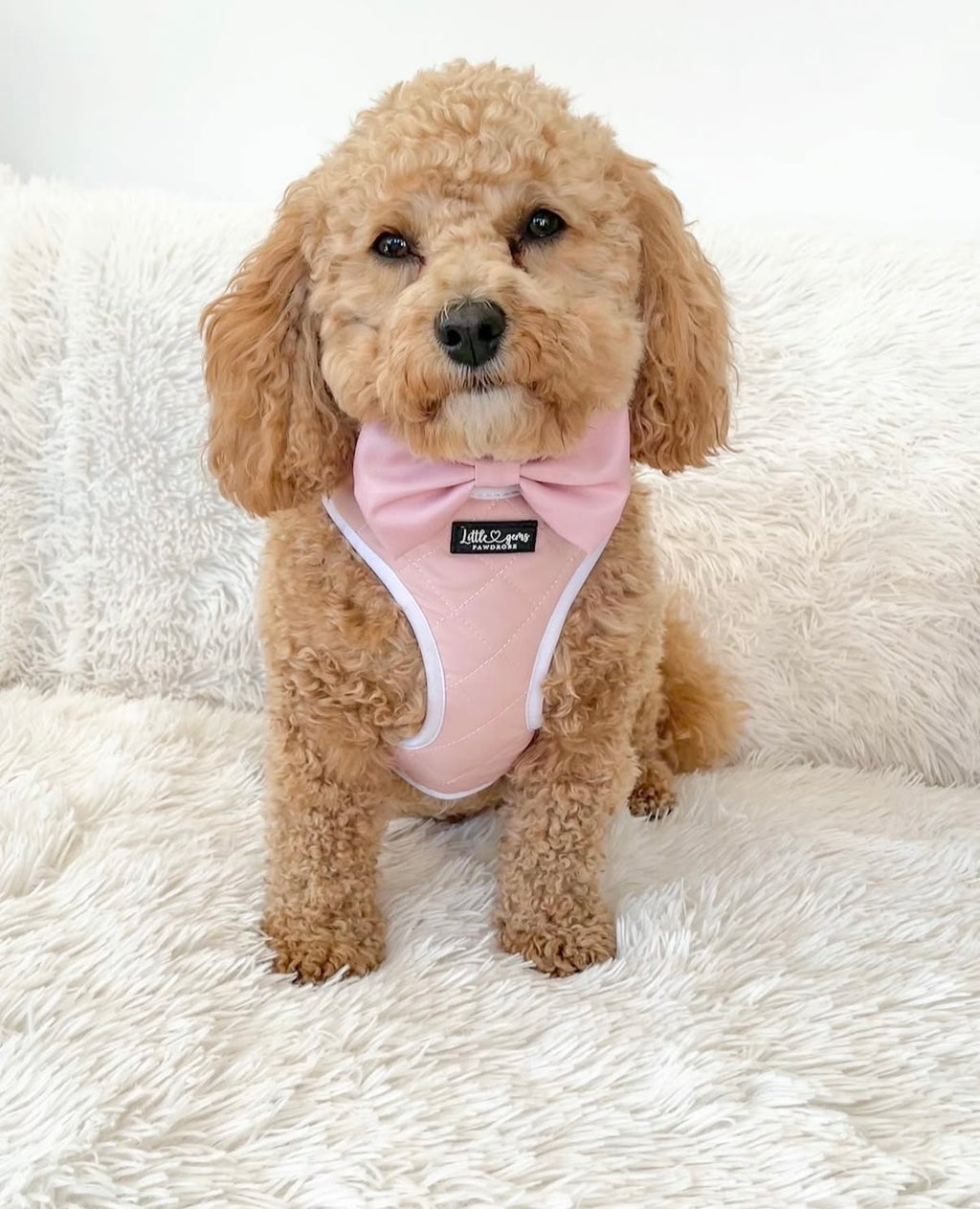 Pink Everyday Quilted harness