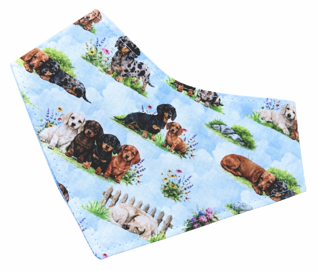 Summer Sausage Bandana
