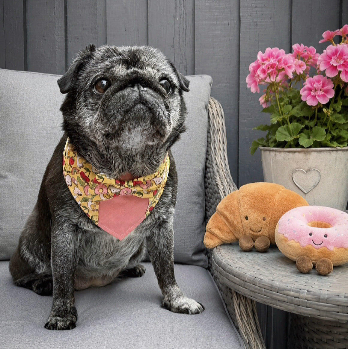 Jelly Pup Bandana