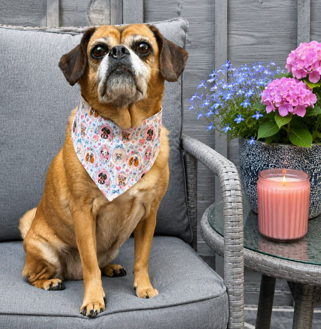 Paws & Petals Bandana