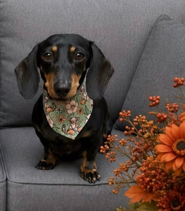 100 Aker Woof Bandana