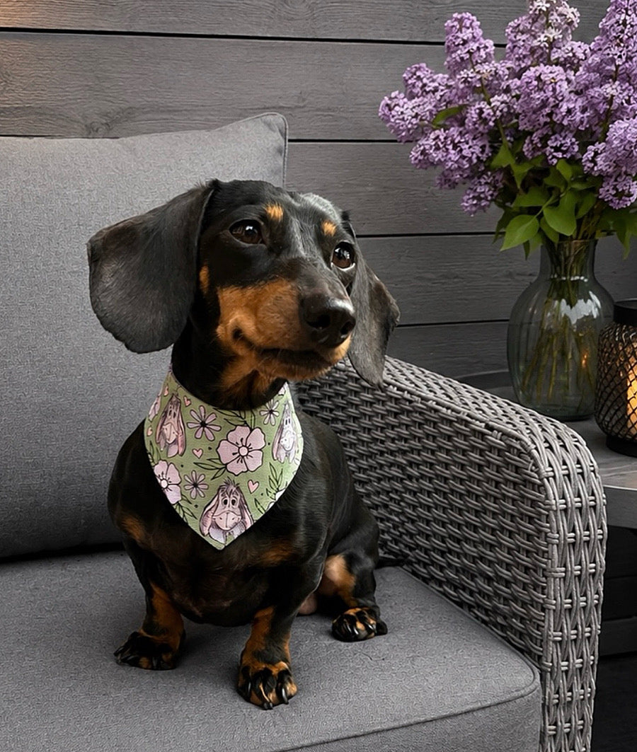 100 Aker Woof Bandana