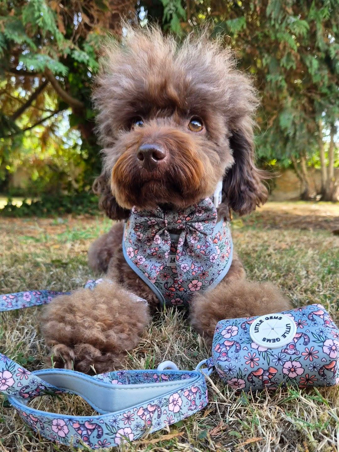 100 Aker Woof Harness