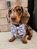 Buns & Bows Sailor Bow