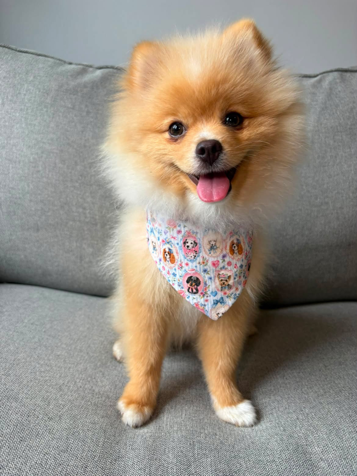 Paws & Petals Bandana