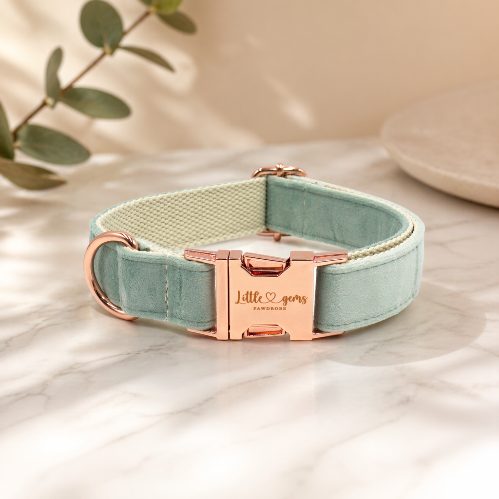 Sage Velvet Collar