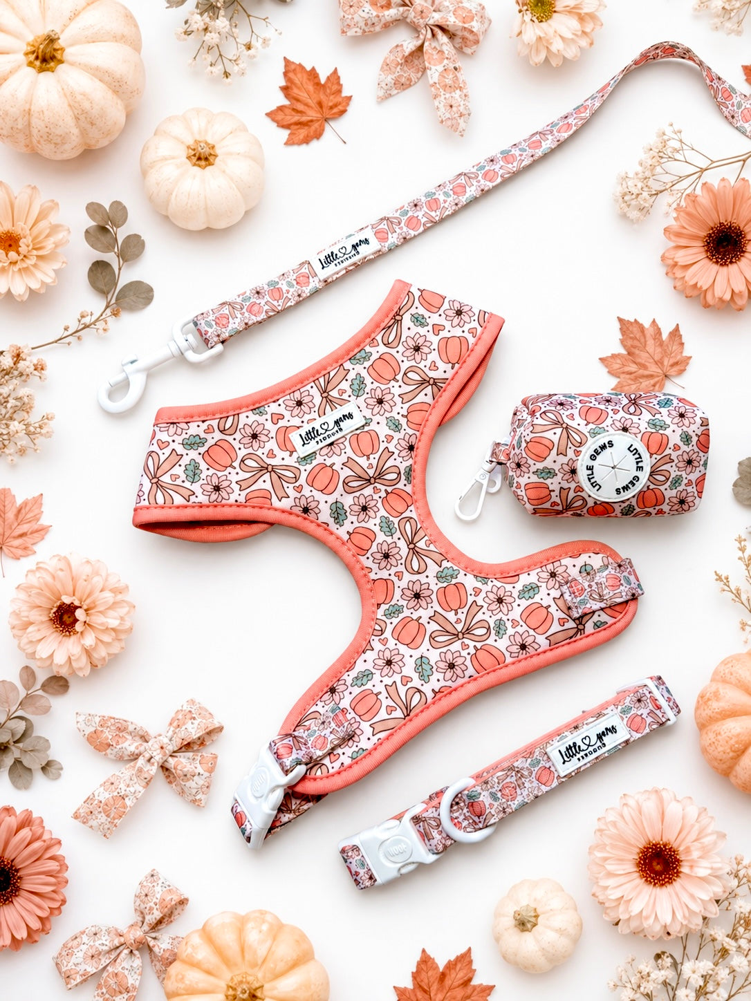 Pretty Little Pumpkin Harness