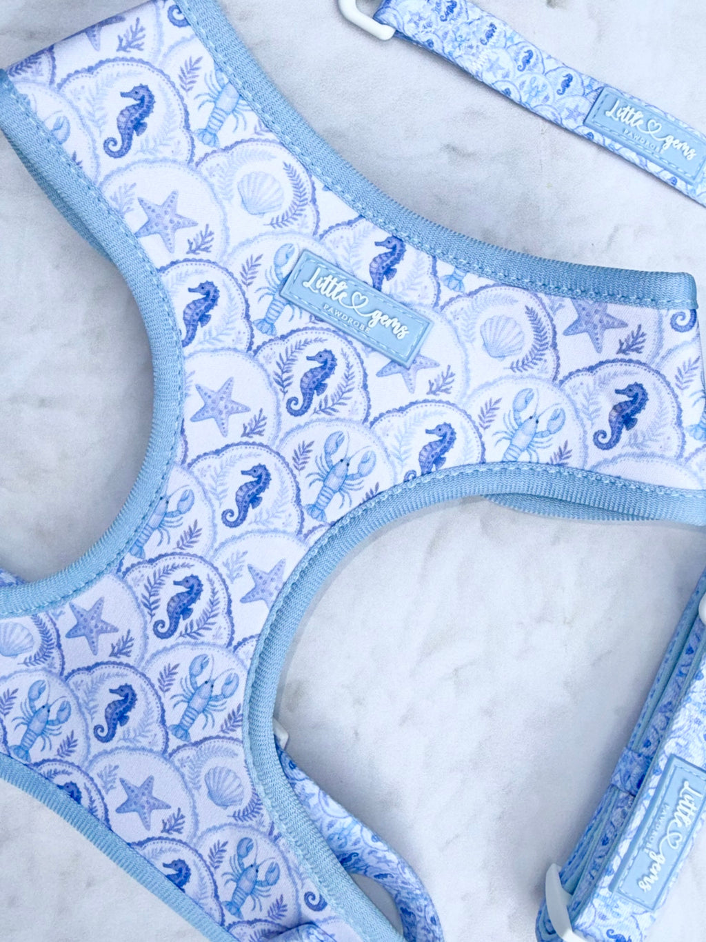 Coastal Shores Harness