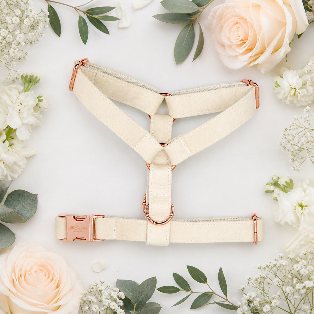Cream Velvet Harness