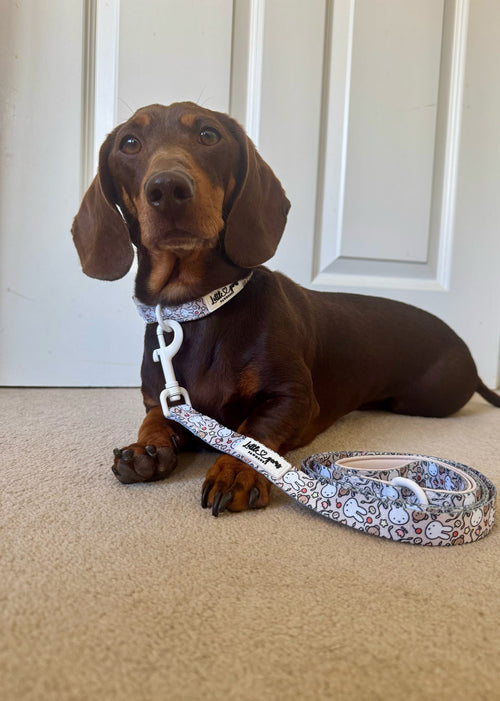 Buns & Bows Lead