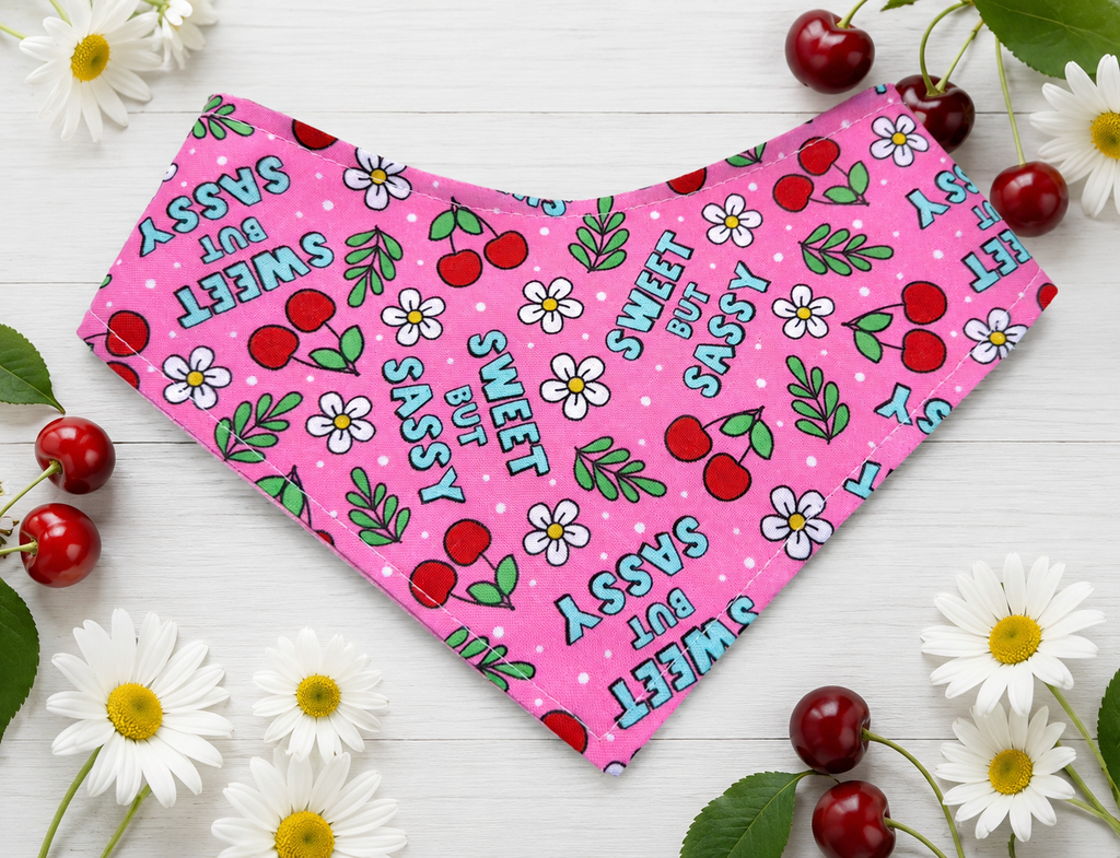 Sweet But Sassy Bandana