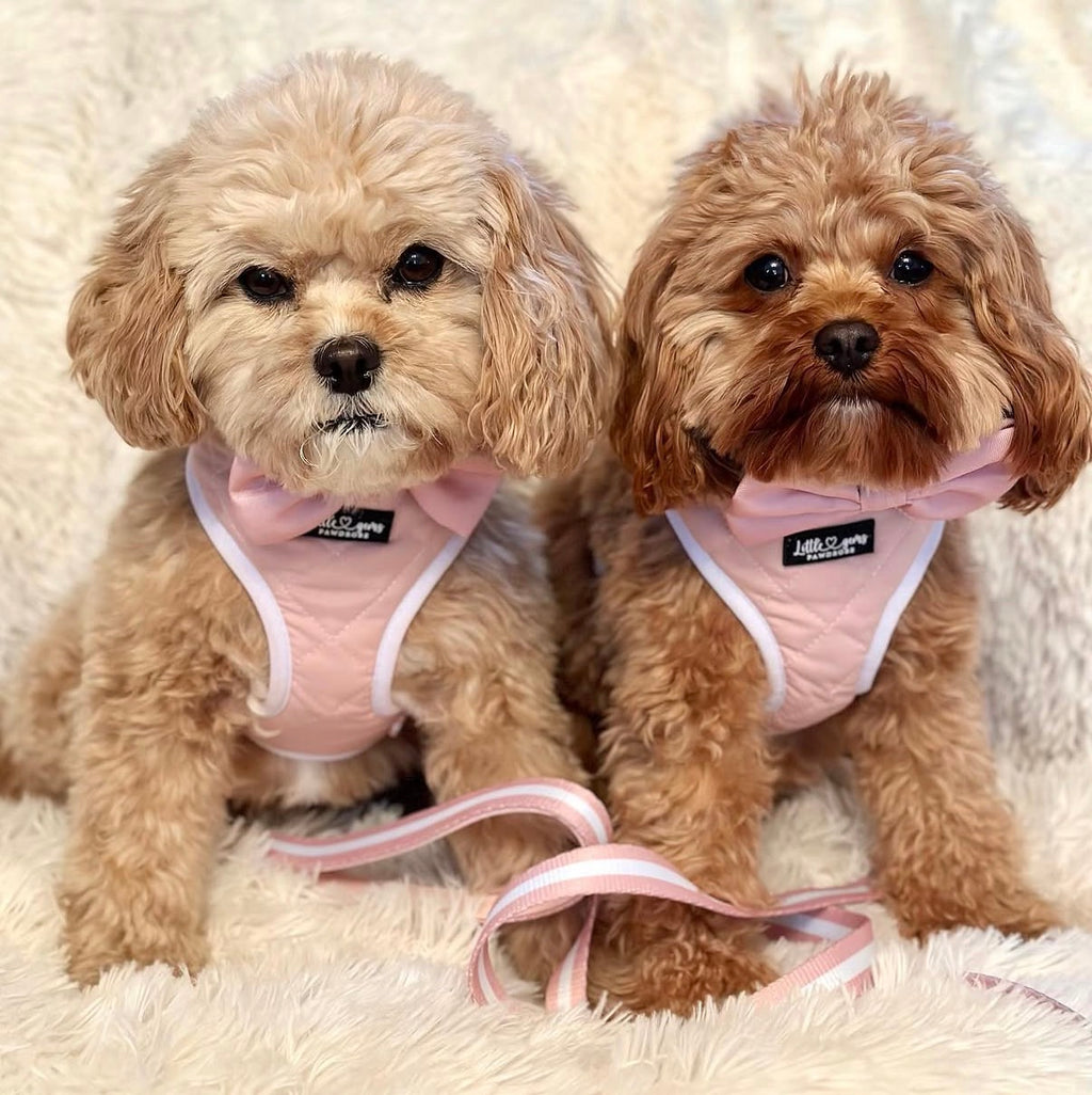 Pink Everyday Quilted harness