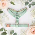 Sage Velvet Harness