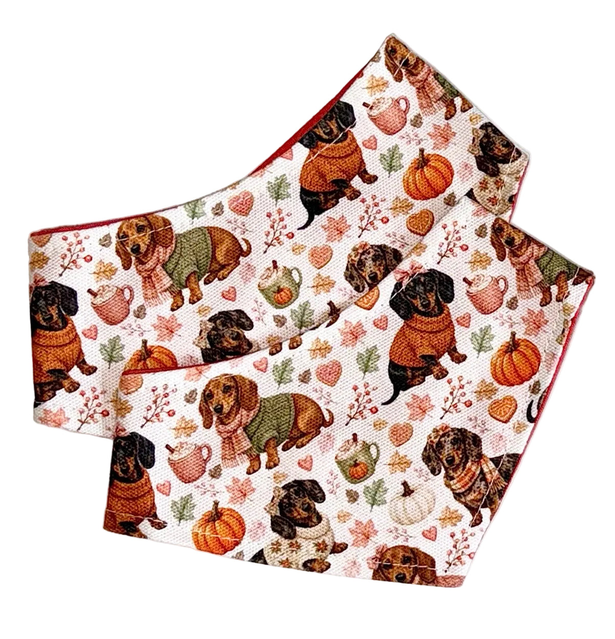 Pupkin Spice Bandana