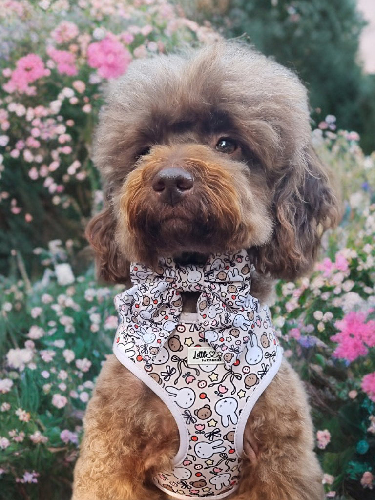 Buns & Bows Harness
