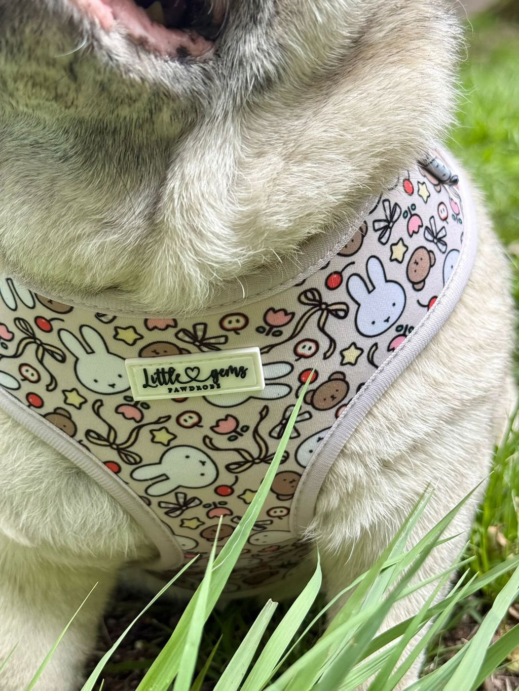 Buns & Bows Harness