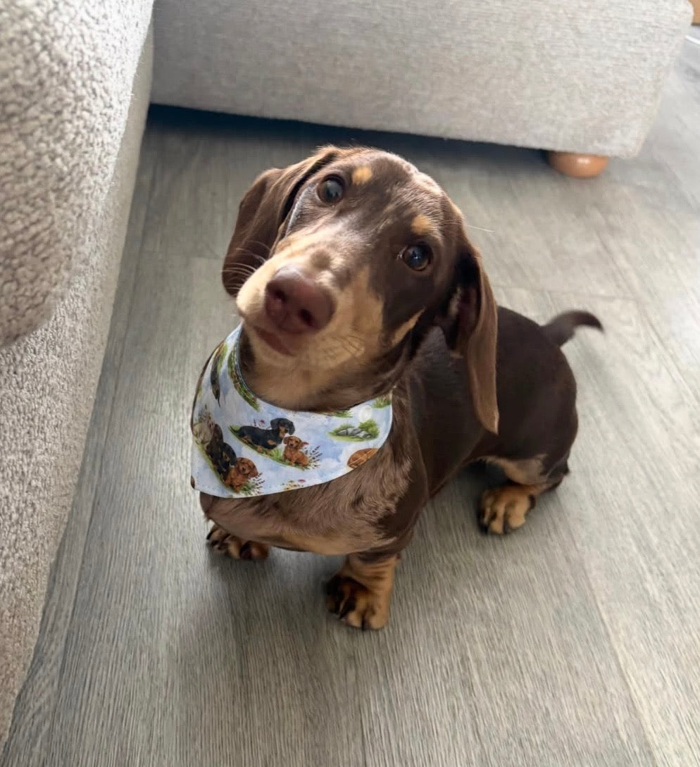 Summer Sausage Bandana