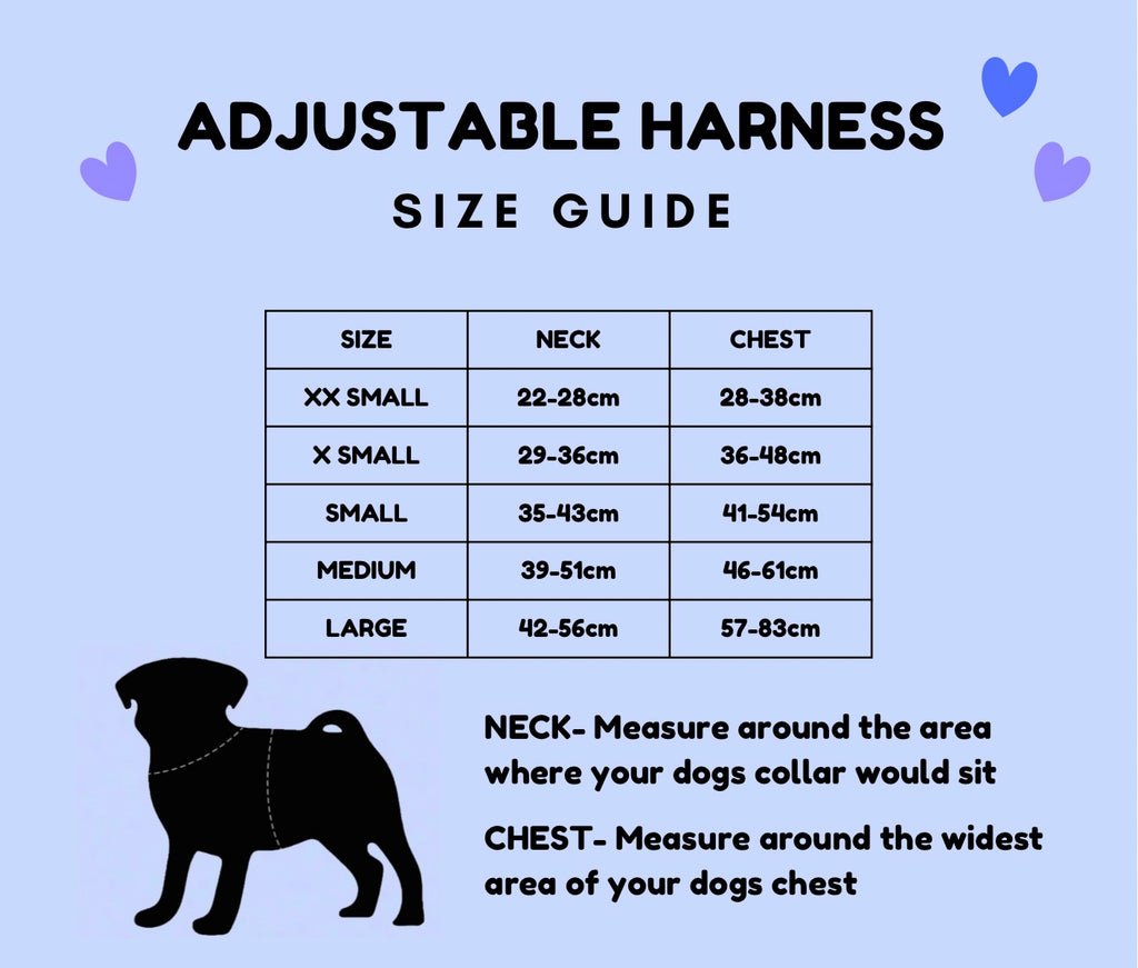 Coastal Shores Harness