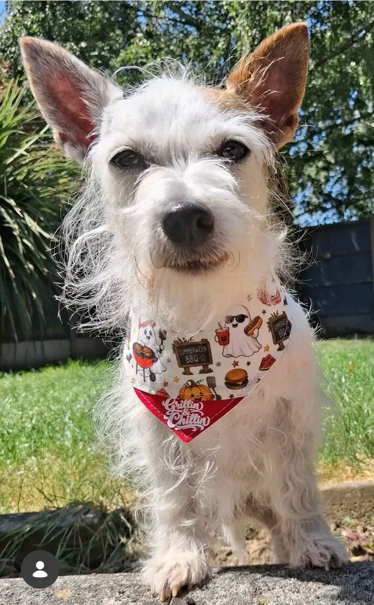 Chillin’ & Grillin’ Summerween Bandana