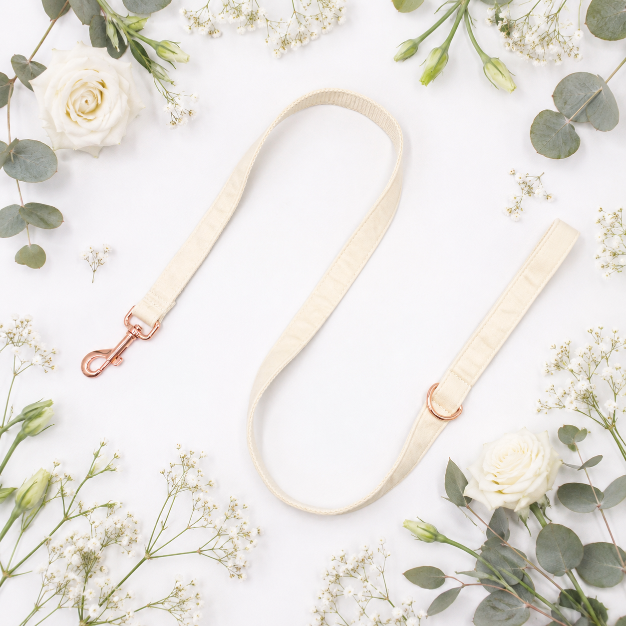 Cream Velvet lead
