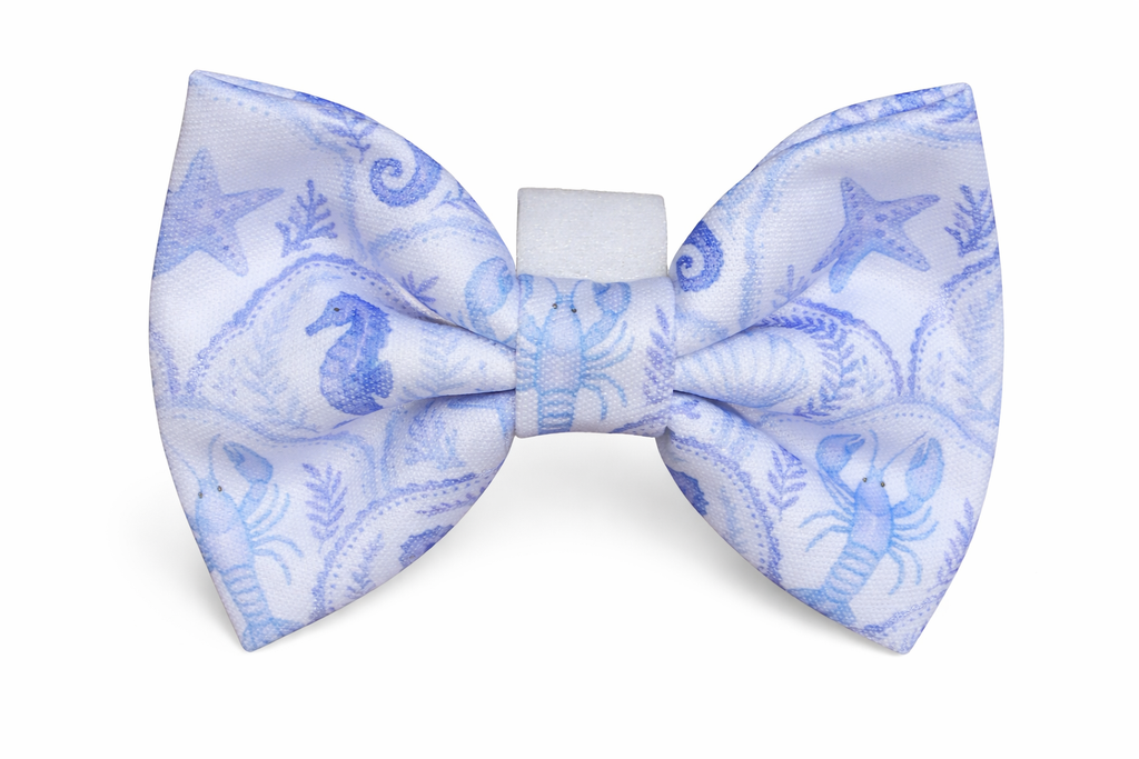 Coastal Shores Bow Tie