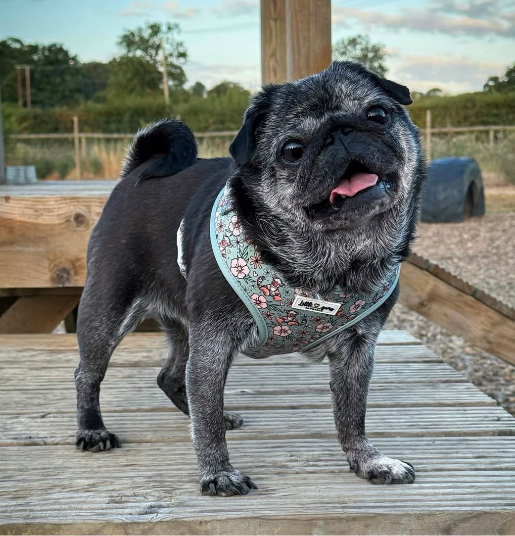 100 Aker Woof Harness